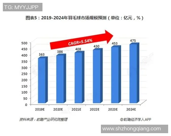 武汉羽毛球队个人能力分析与发展策略探讨