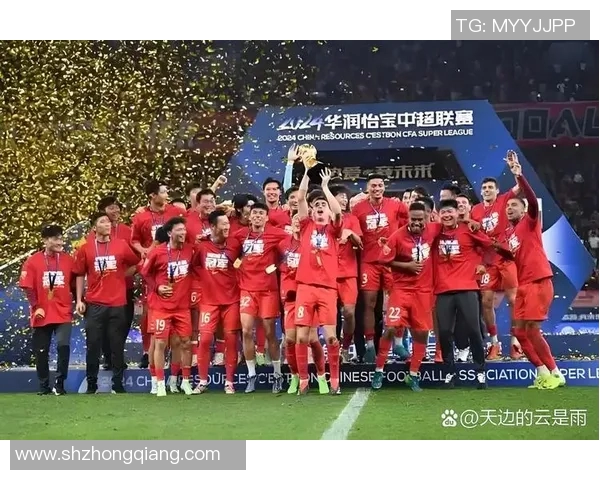 武汉足球队的崛起与荣耀：揭示背后的力量与激情