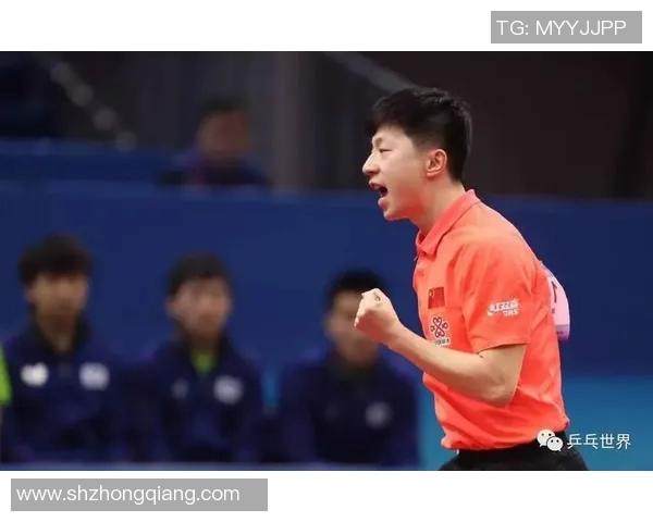 聚焦乒乓球技术探讨：上海乒乓球队的训练与战术分析