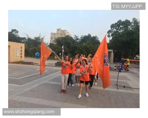 南京羽毛球队的崛起之路精英赛背后的奋斗与荣耀故事