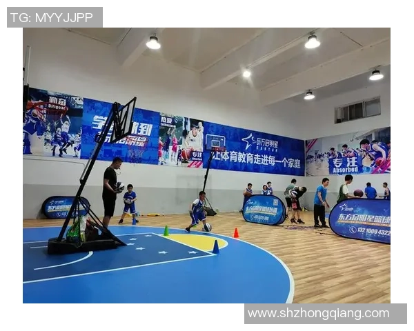 南京羽毛球队包夹战术革新探讨与未来发展展望