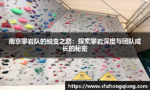 南京攀岩队的蜕变之路：探索攀岩深度与团队成长的秘密