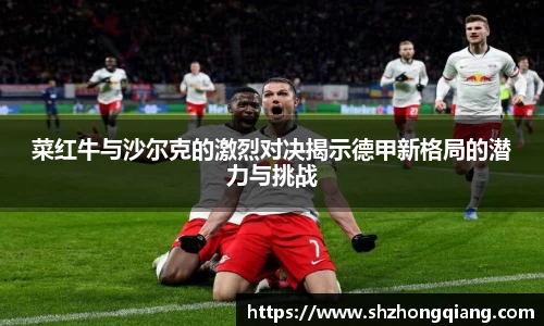 菜红牛与沙尔克的激烈对决揭示德甲新格局的潜力与挑战