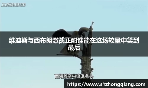 维迪斯与西布朗激战正酣谁能在这场较量中笑到最后